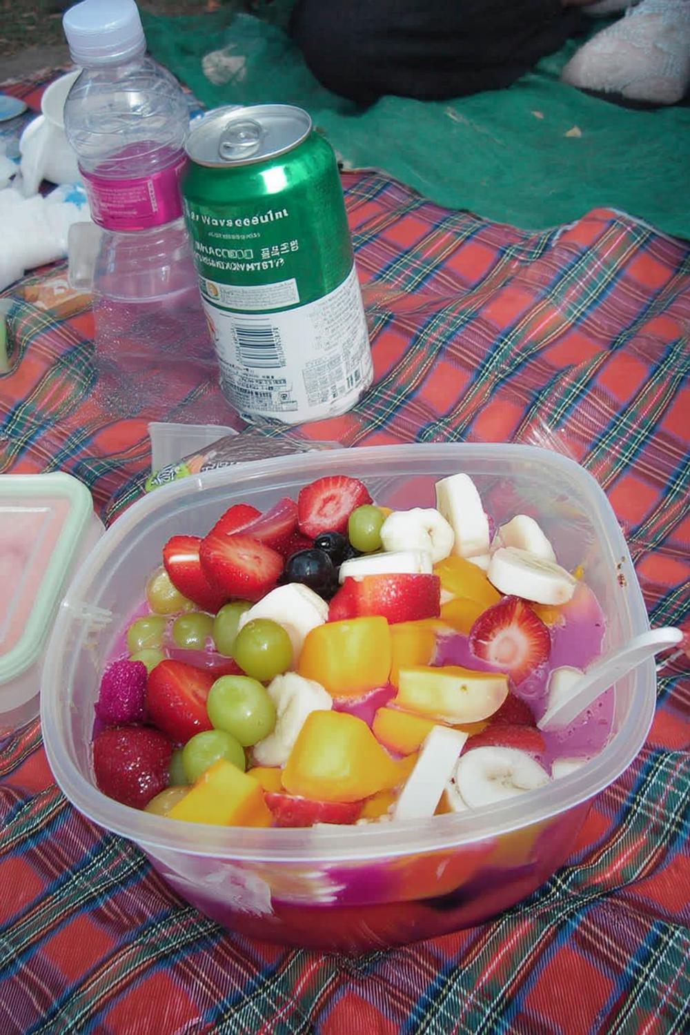 Picknick Plastlåda