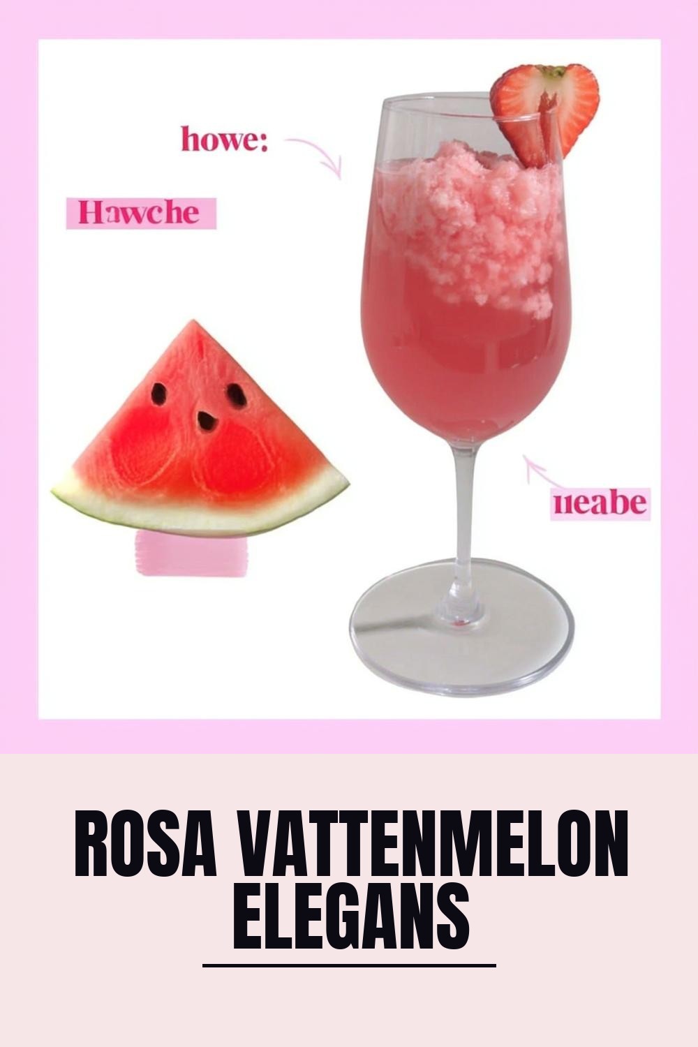 Rosa Vattenmelon Elegans